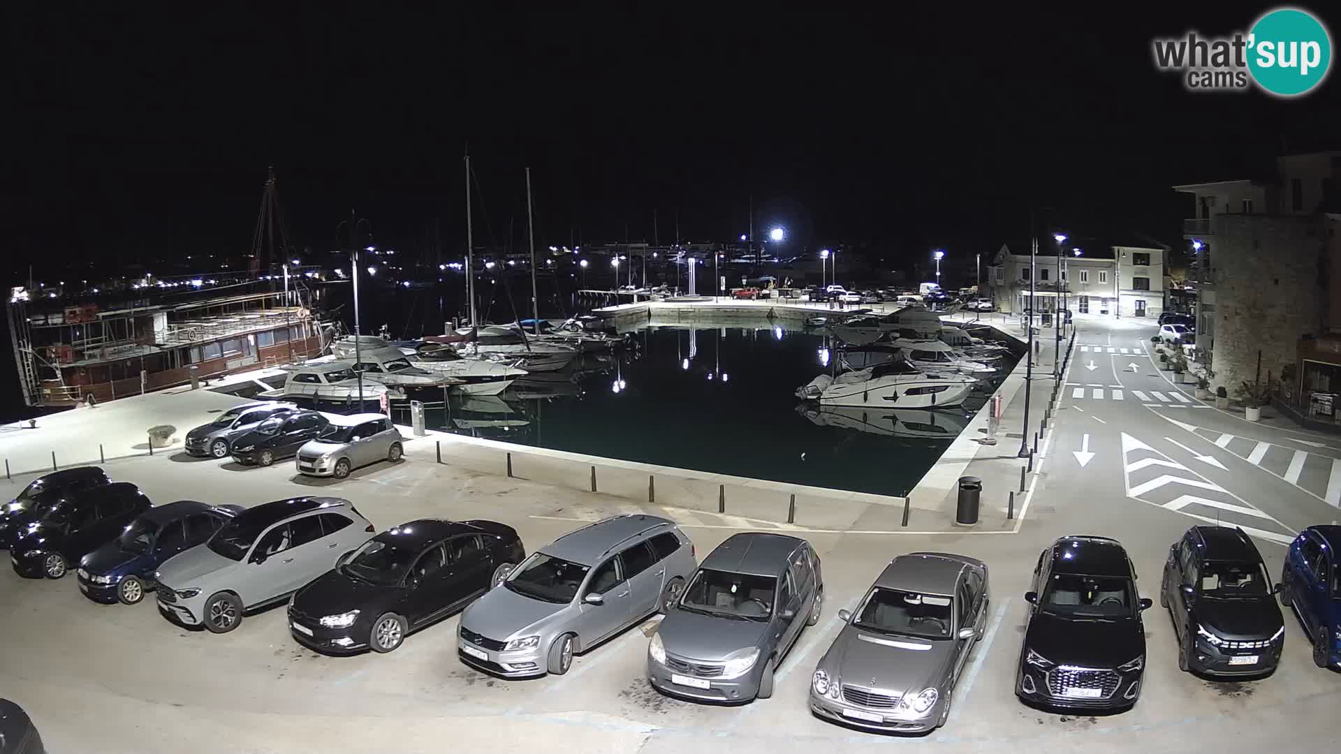 Novigrad | Porporela marina