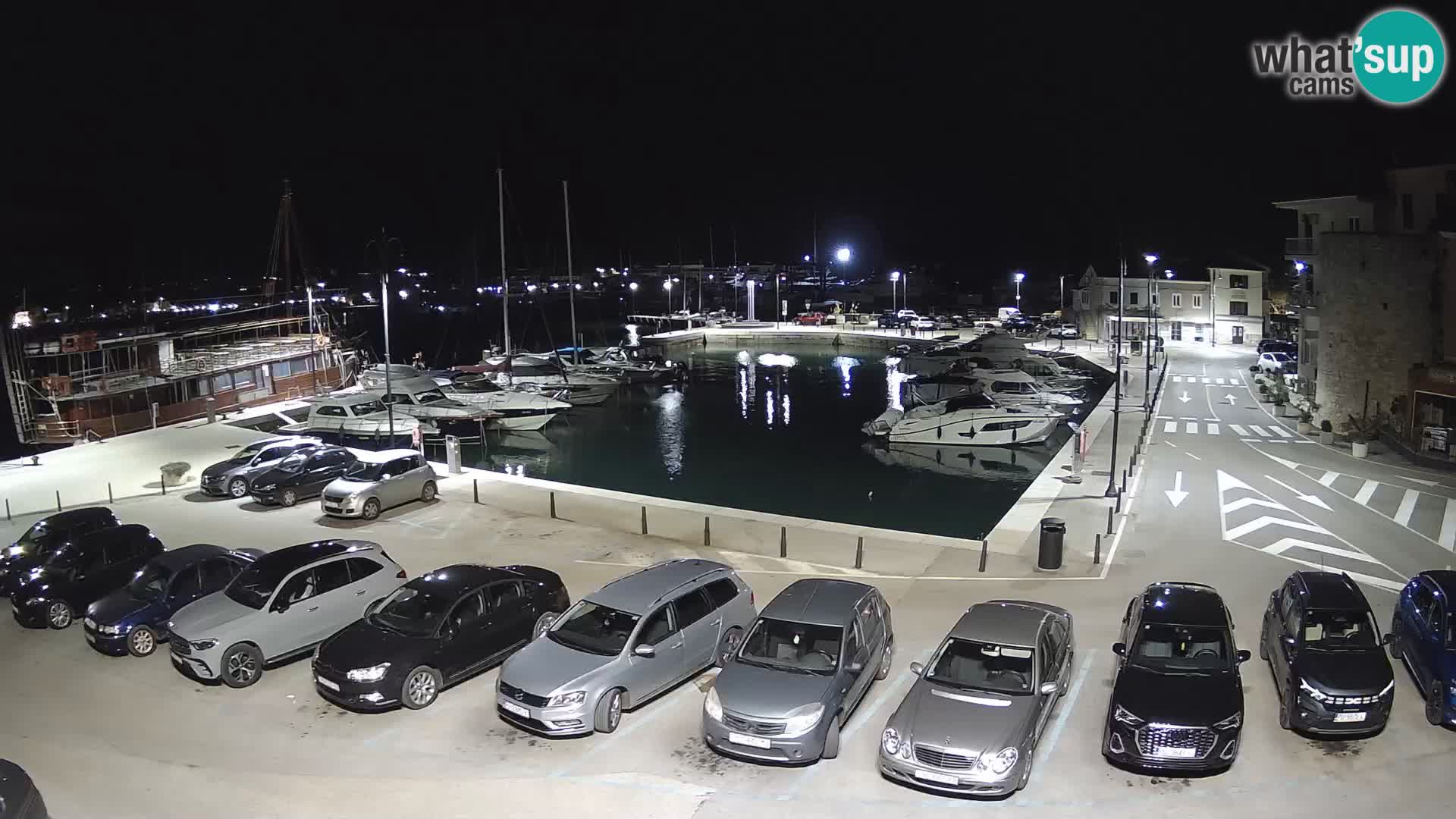 Novigrad | Porporela marina