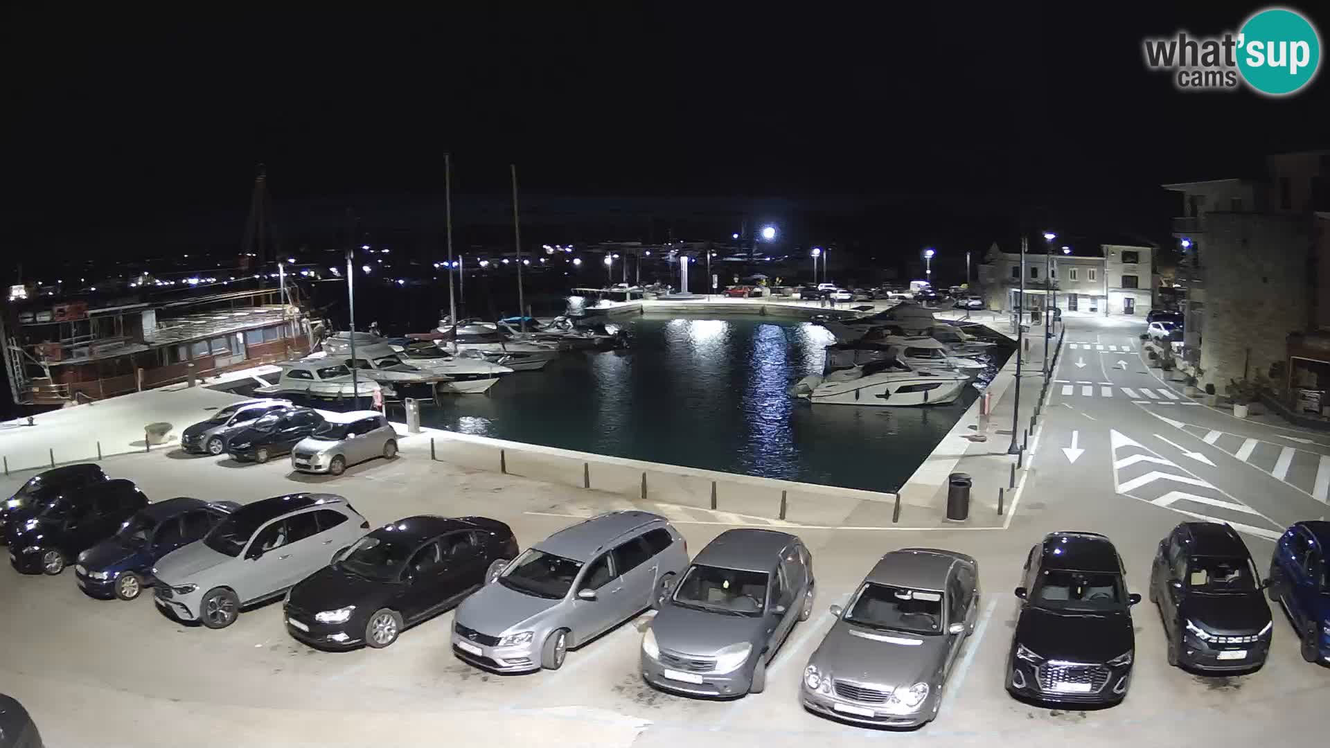 Novigrad | Porporela marina