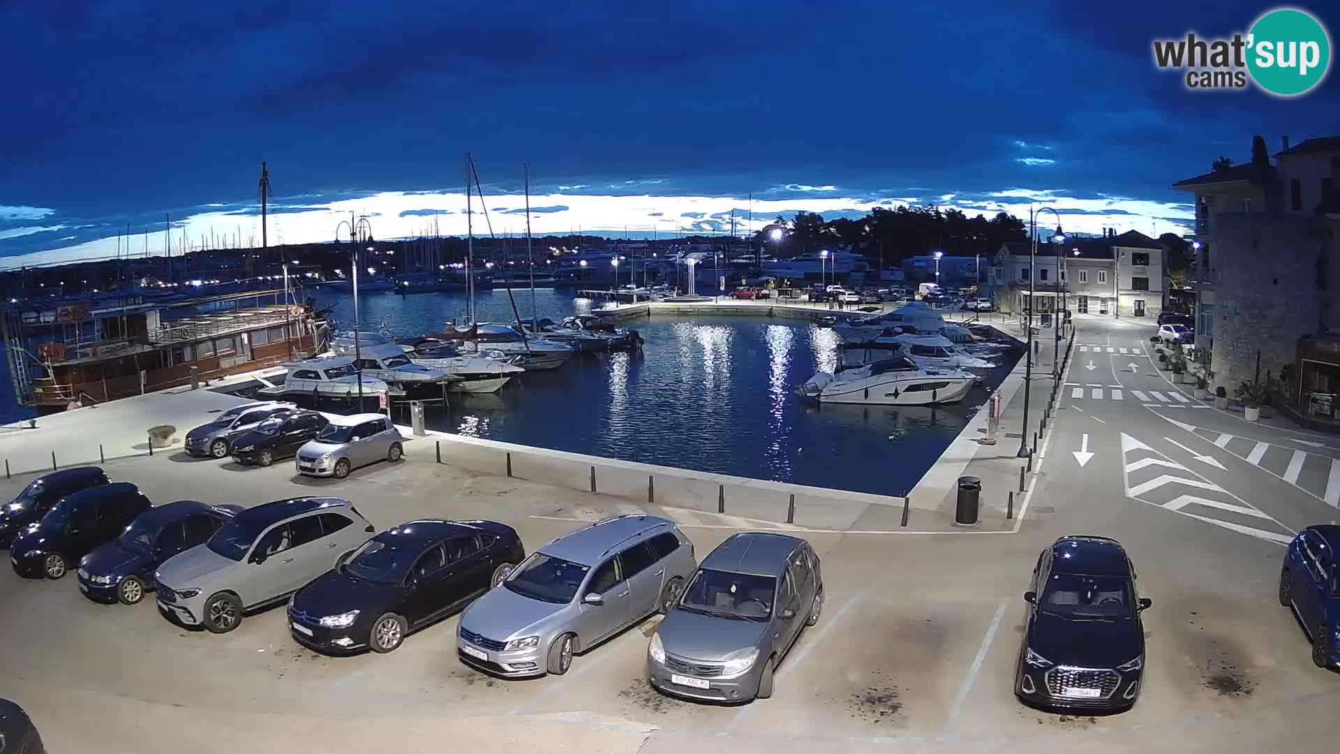 Novigrad | Porporela marina