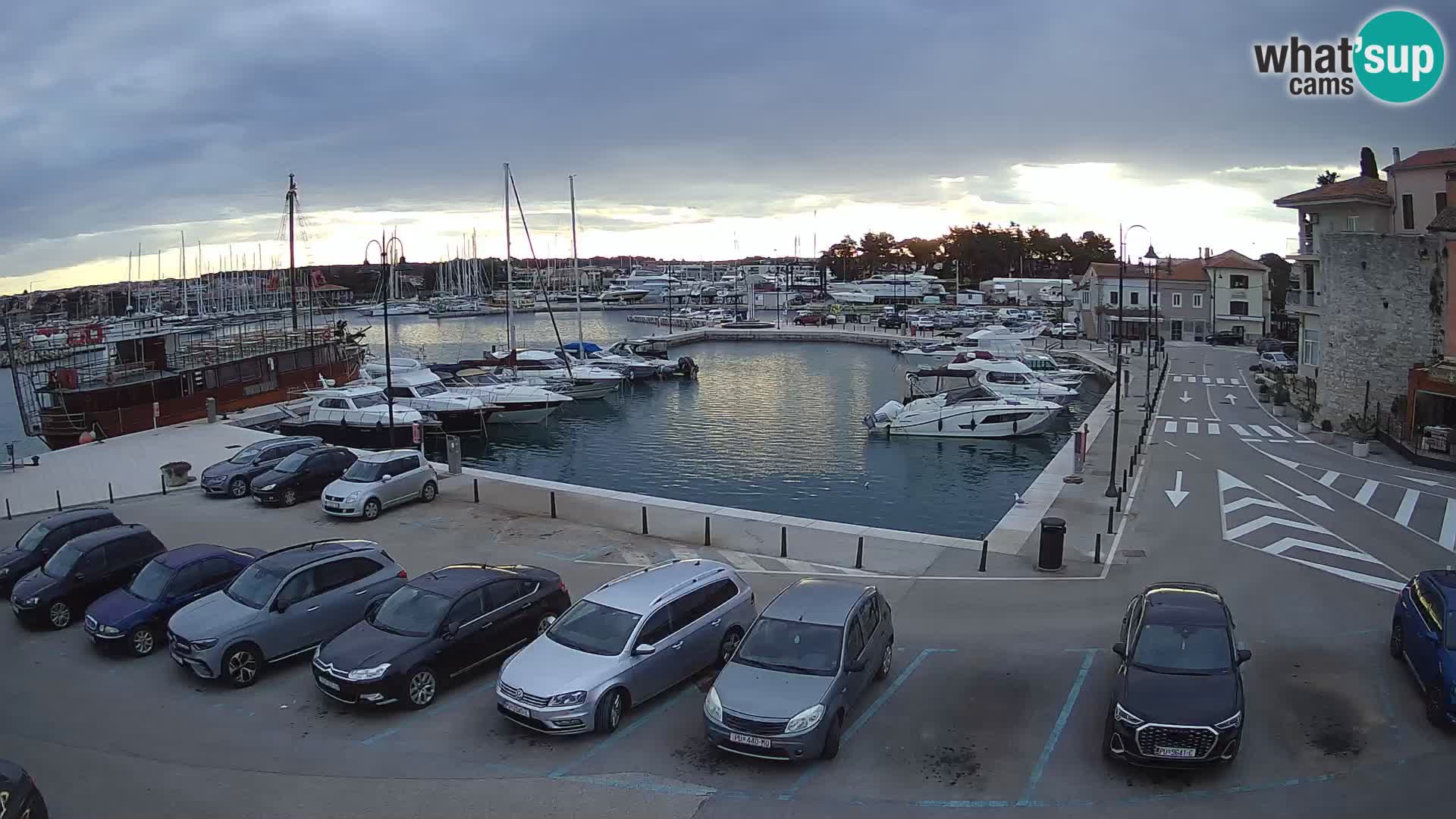 Novigrad | Porporela marina