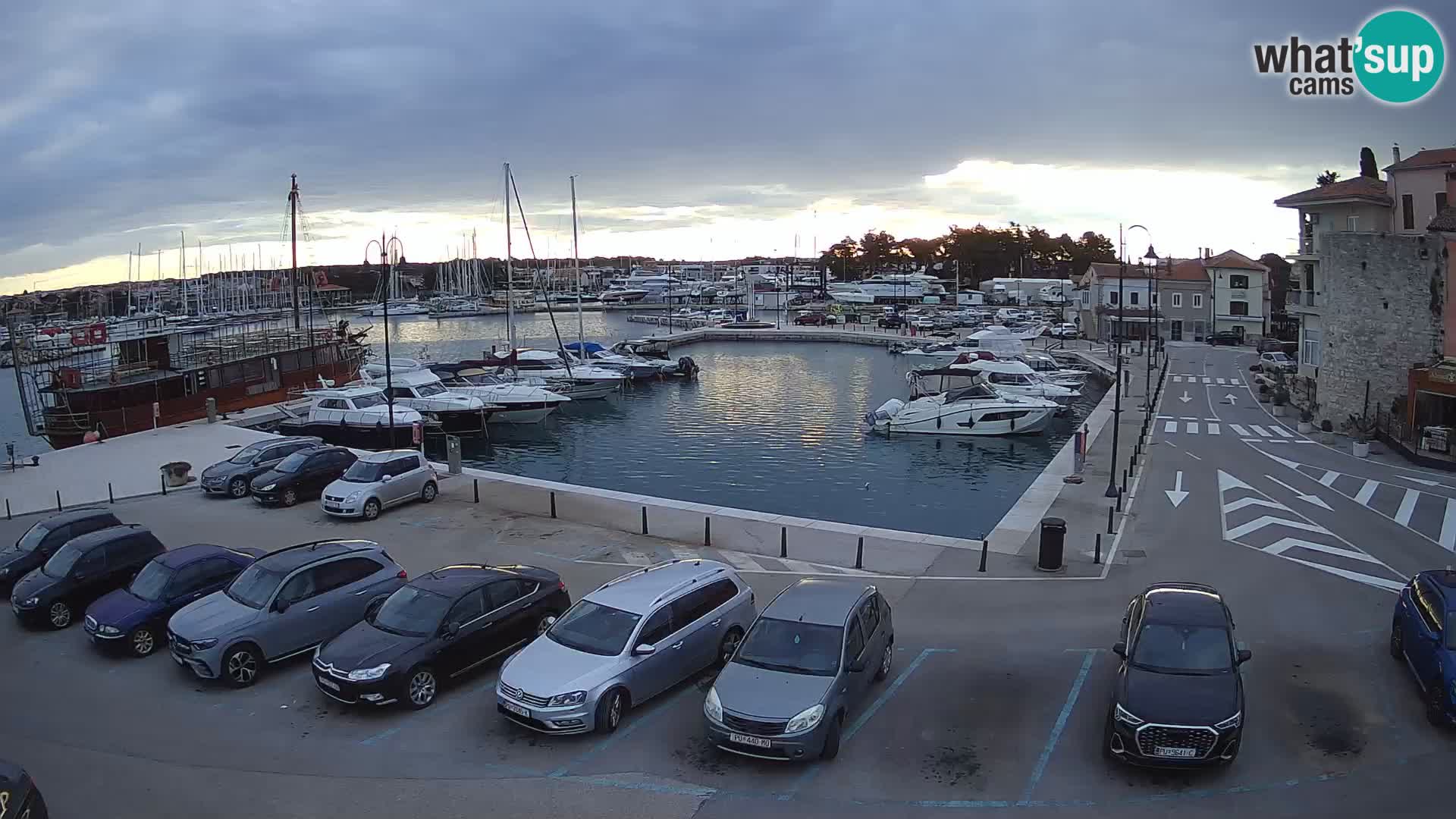 Novigrad | Porporela marina