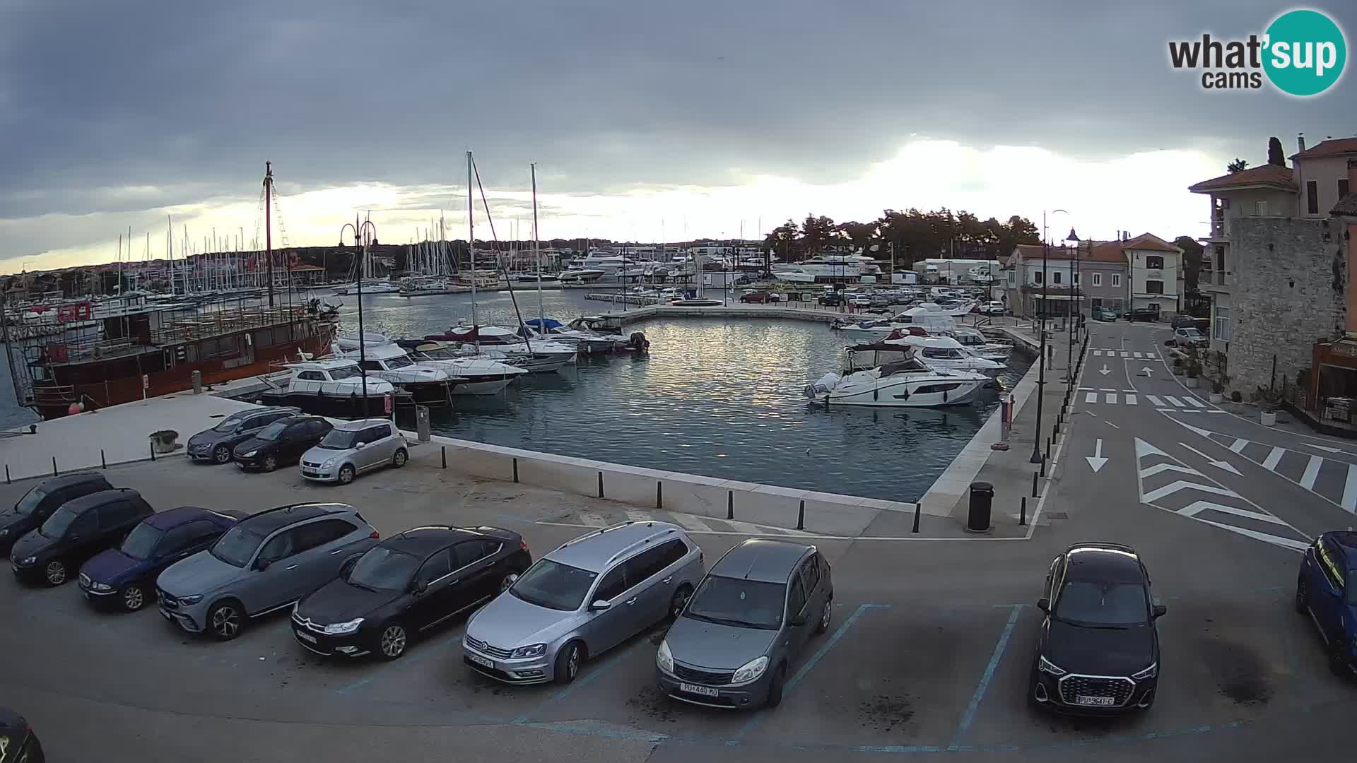 Novigrad | Porporela marina