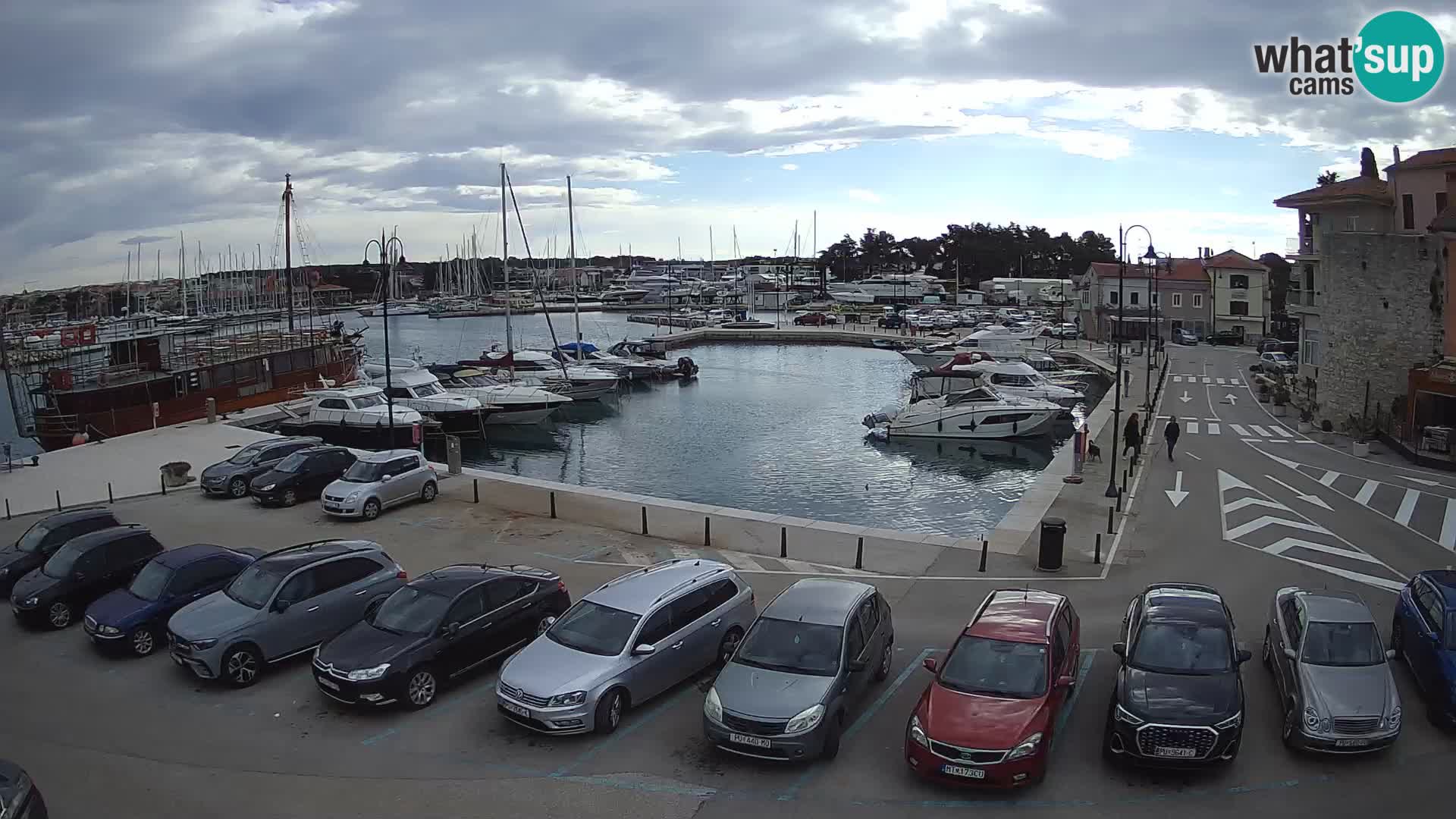 Novigrad | Porporela marina