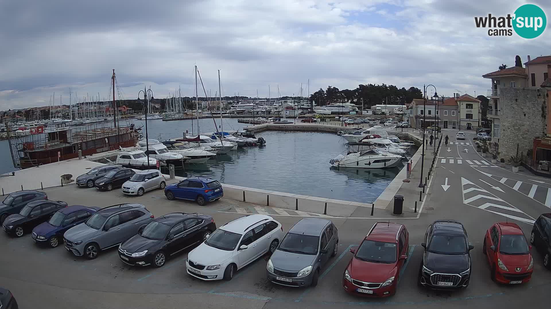 Novigrad | Porporela marina