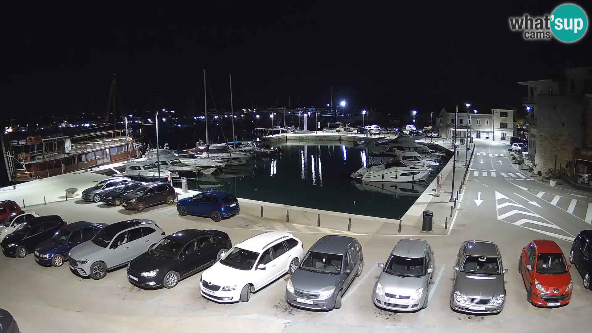 Novigrad | Porporela marina