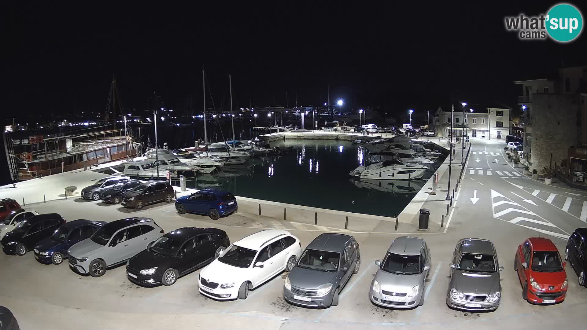 Novigrad | Porporela marina