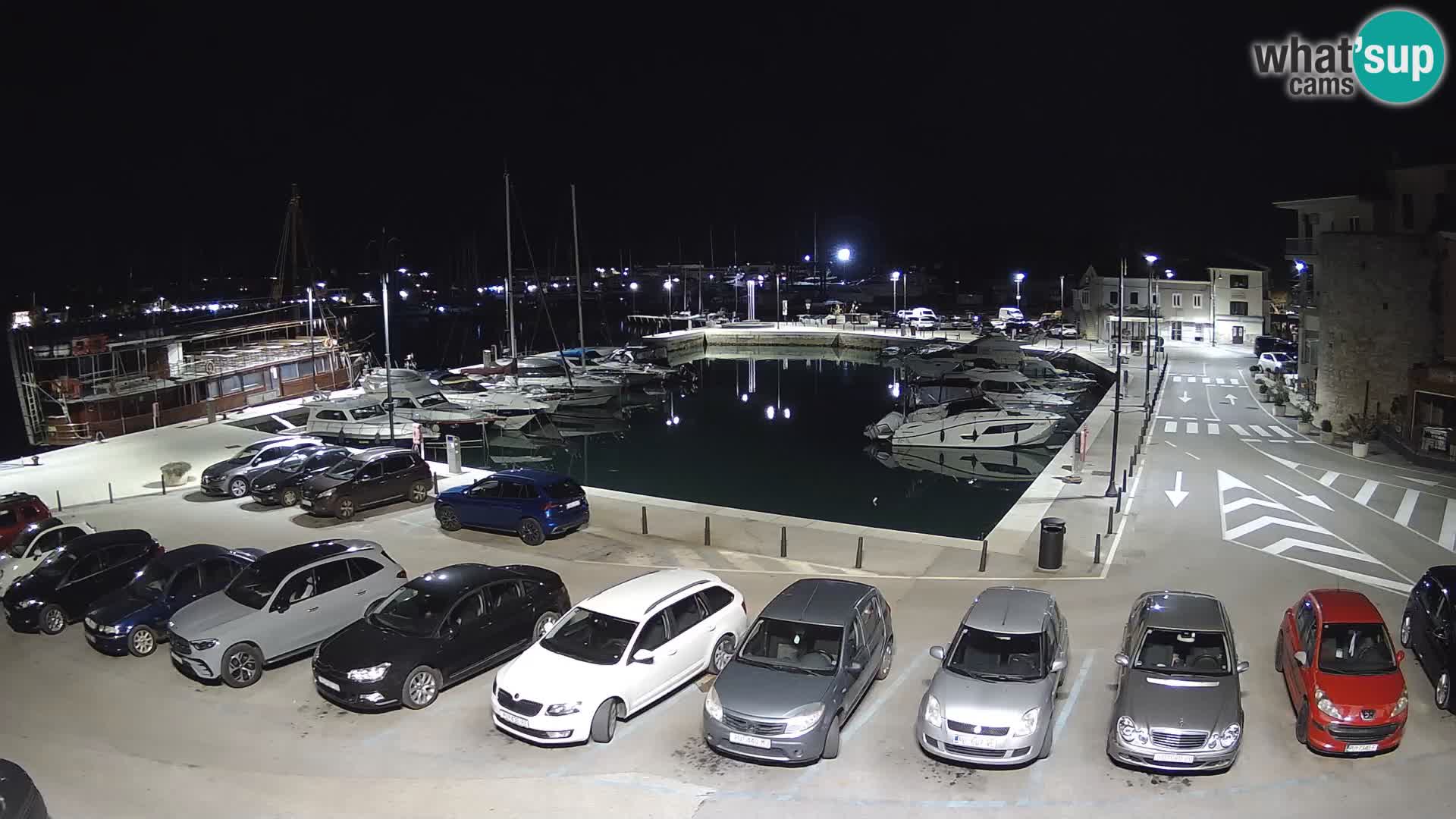 Novigrad | Porporela marina