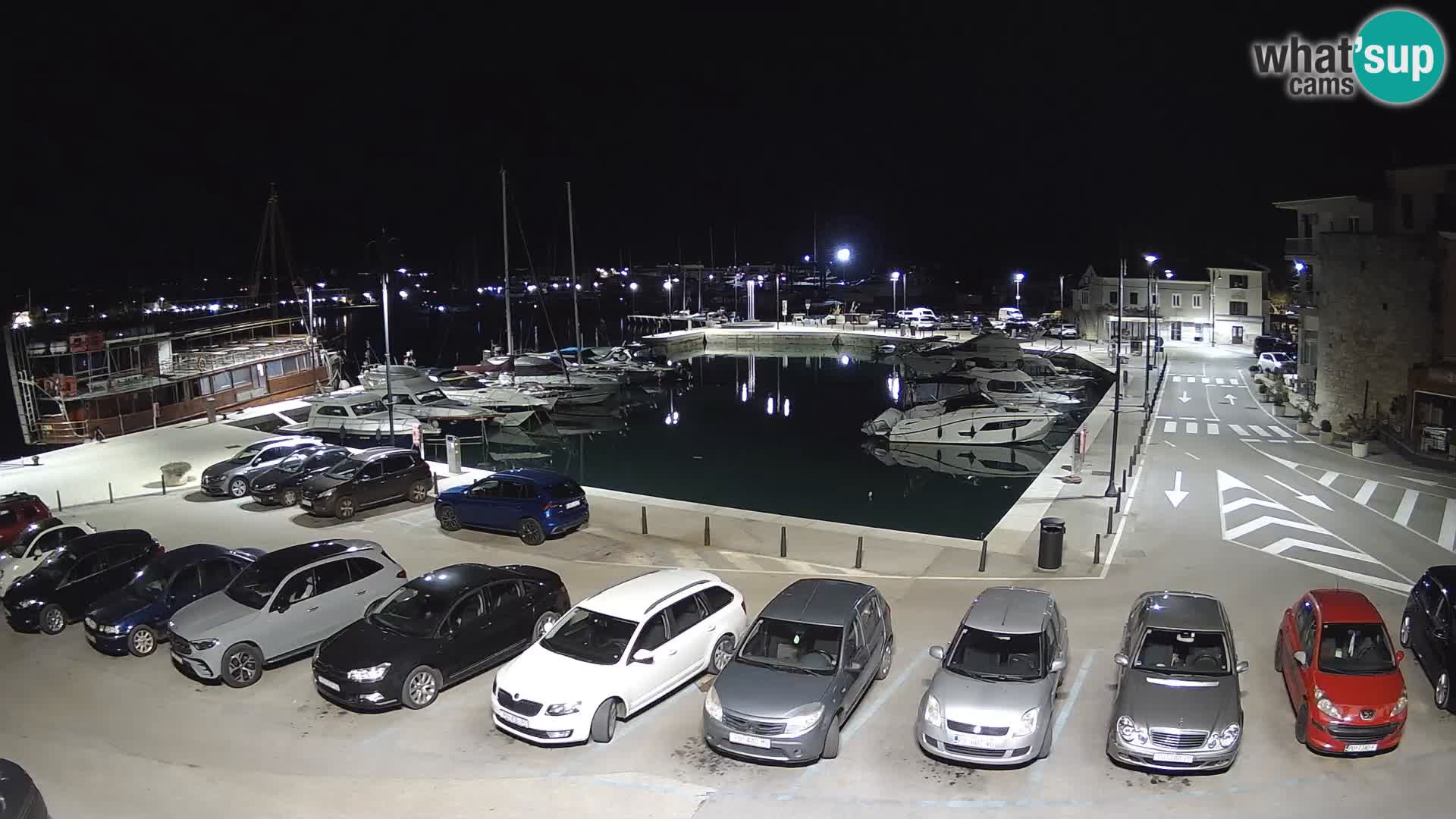 Novigrad | Porporela marina