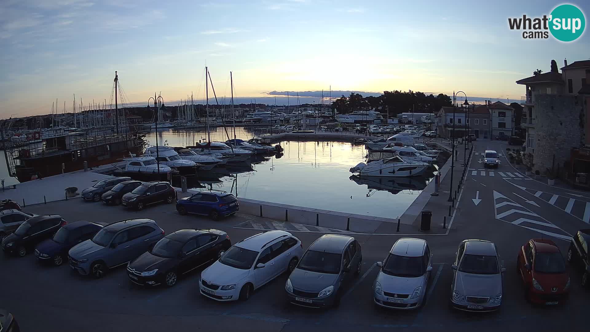 Novigrad | Porporela marina