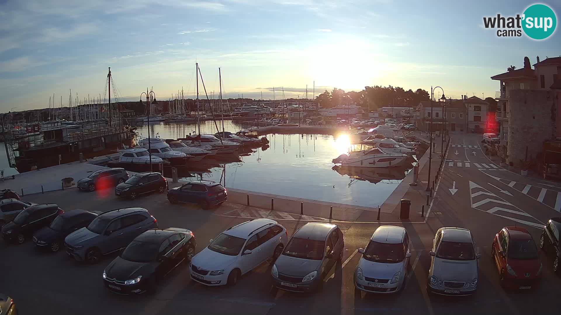 Novigrad | Porporela marina