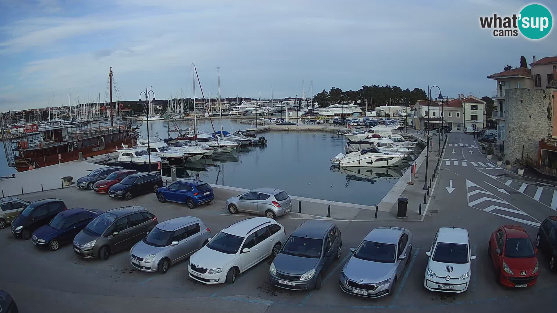 Novigrad | Porporela marina