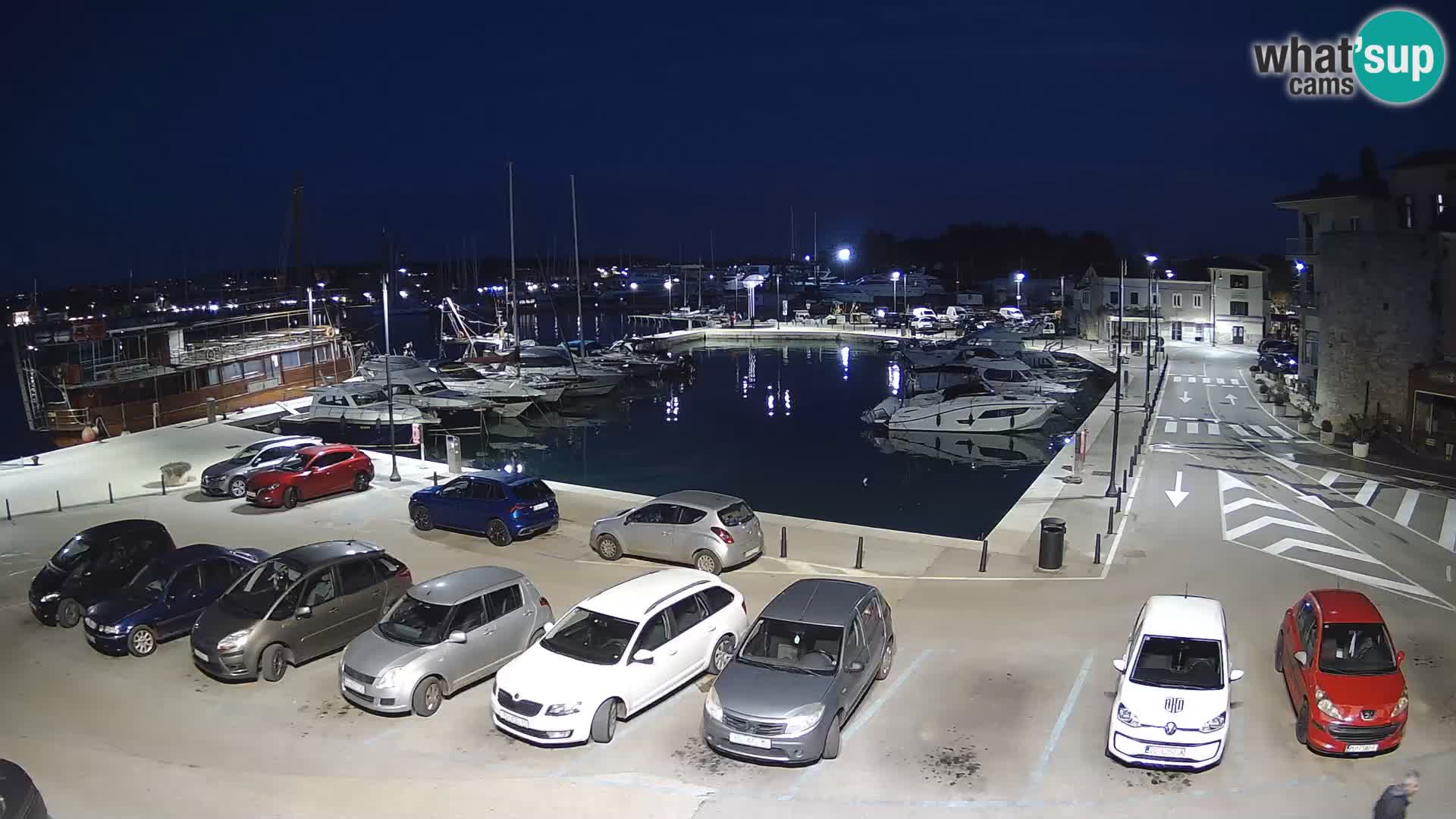 Novigrad | Porporela marina