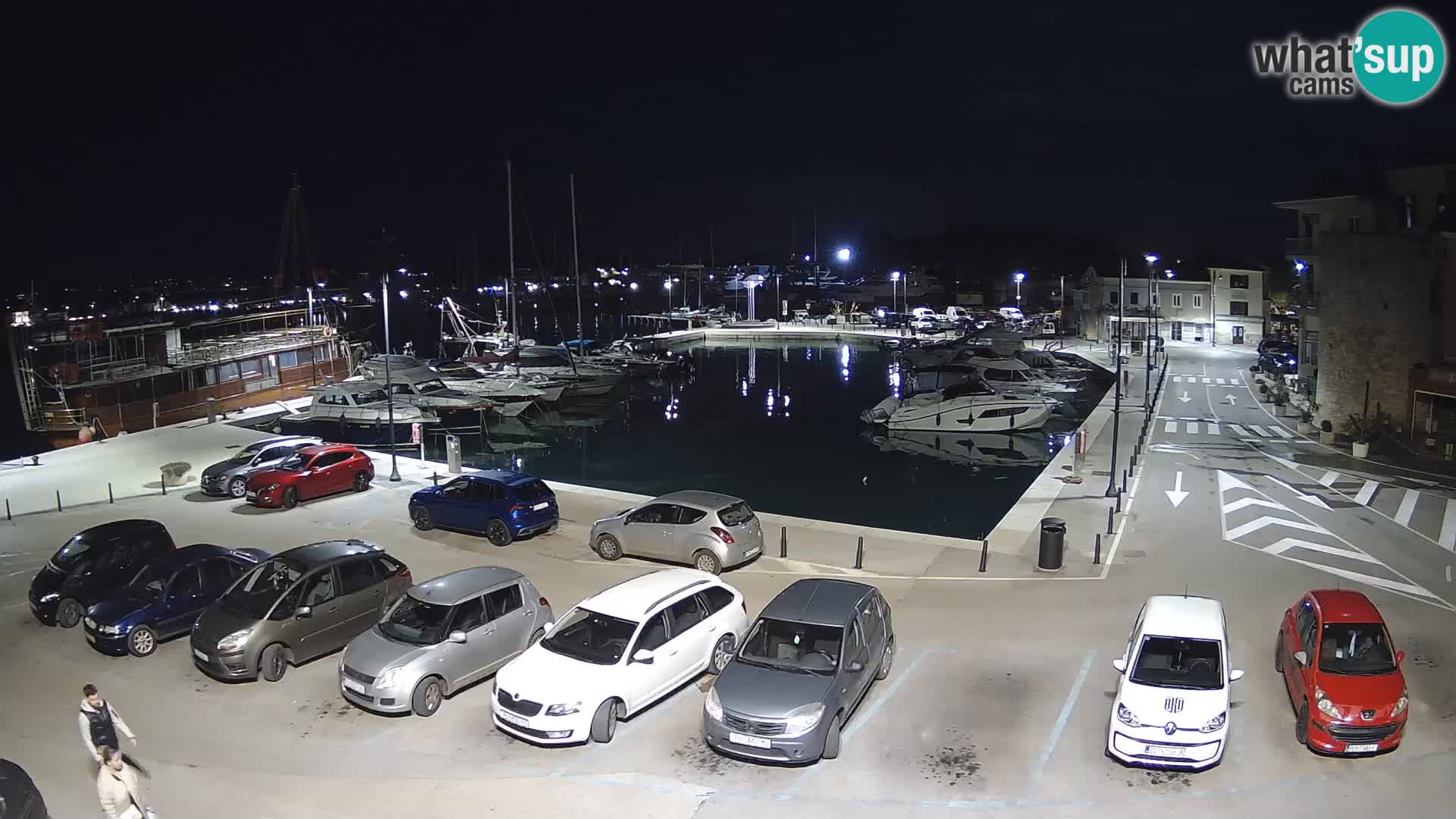 Novigrad | Porporela marina