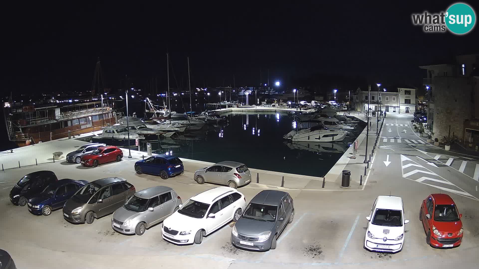 Novigrad | Porporela marina
