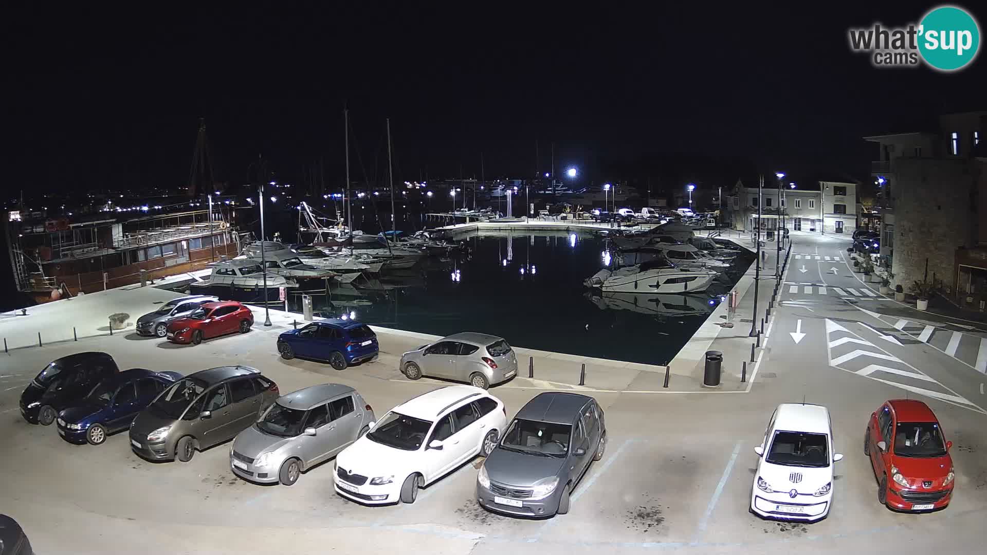 Novigrad | Porporela marina