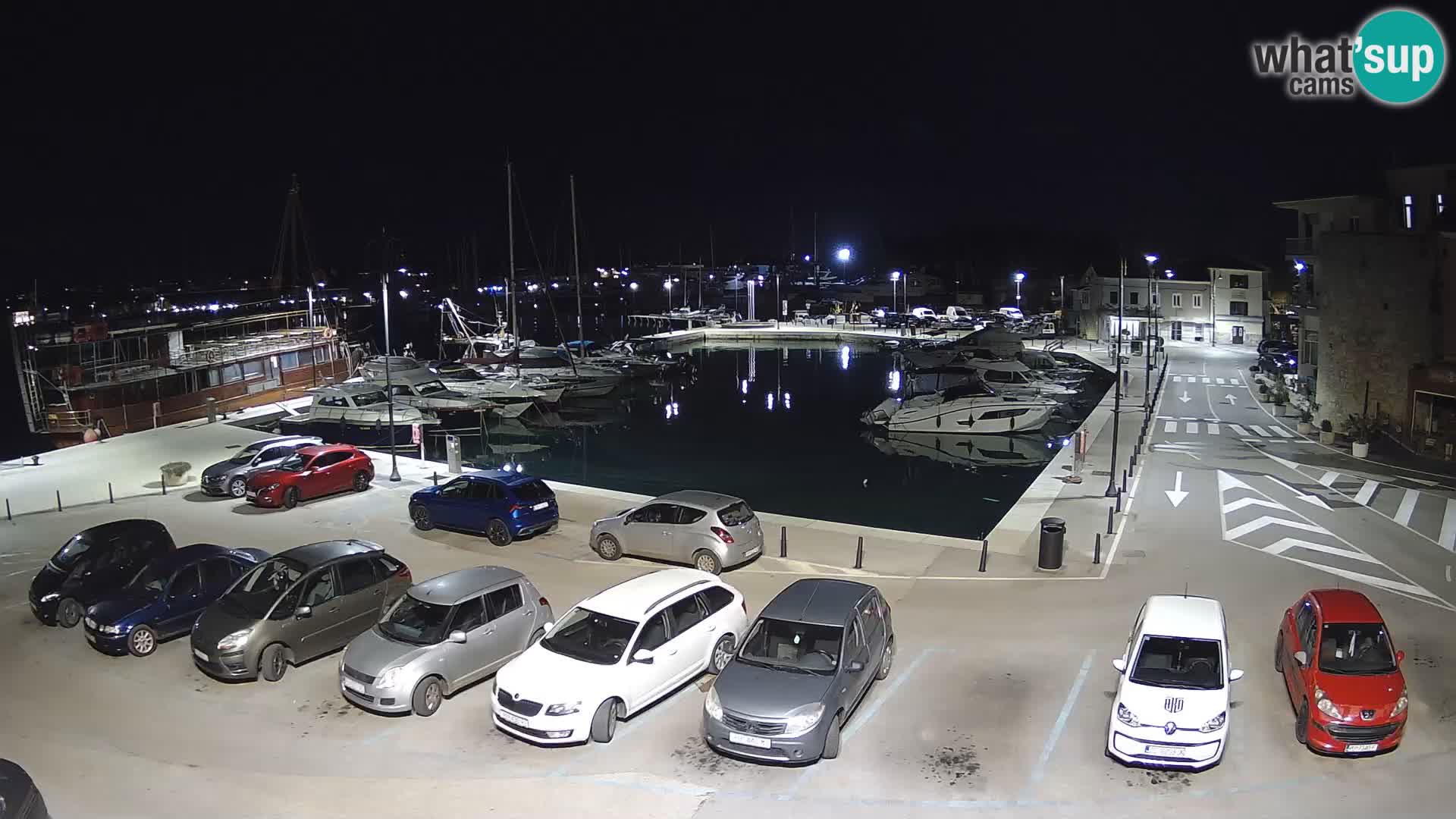 Novigrad | Porporela marina