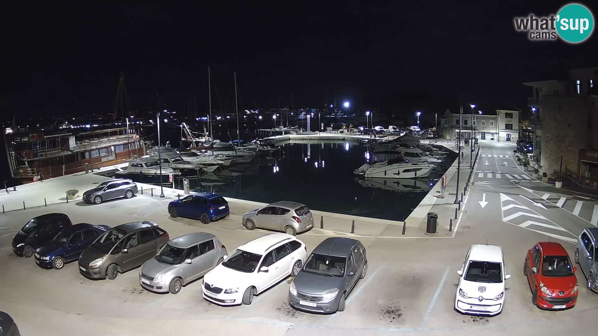 Novigrad | Porporela marina
