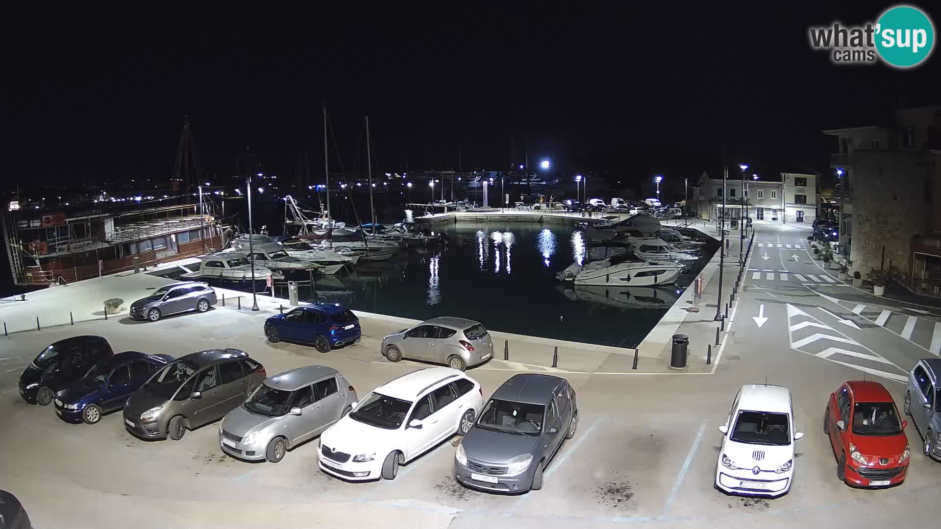 Novigrad | Porporela marina