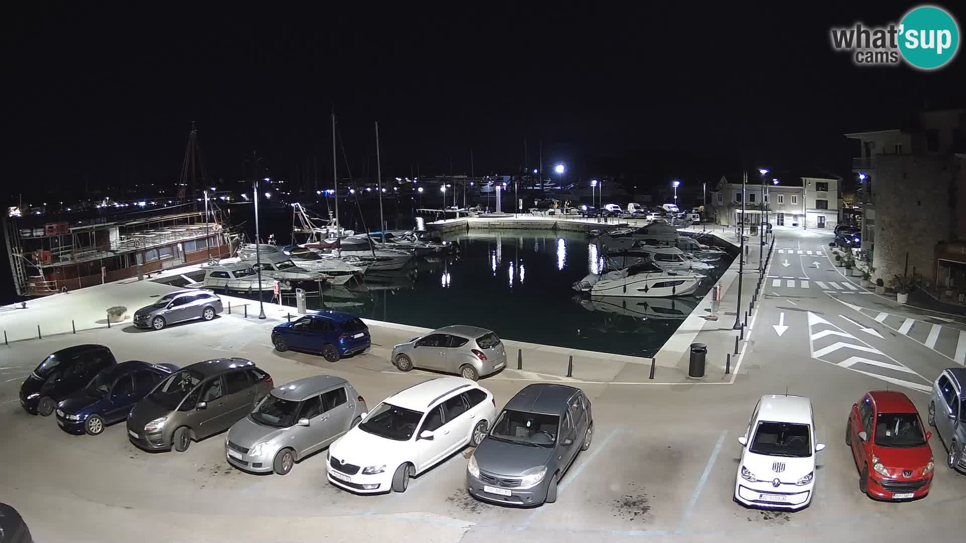 Novigrad | Porporela marina