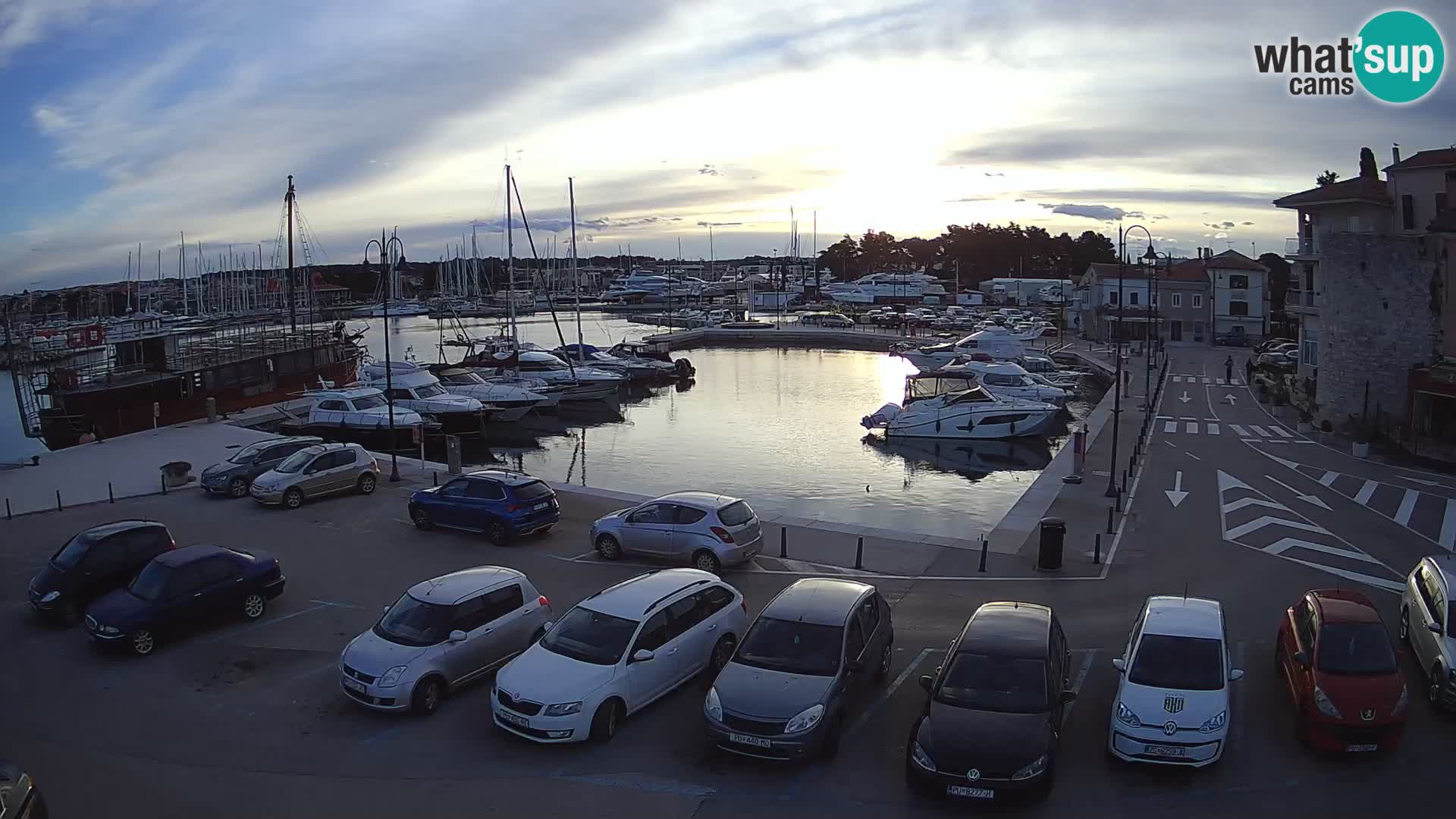 Novigrad | Porporela marina