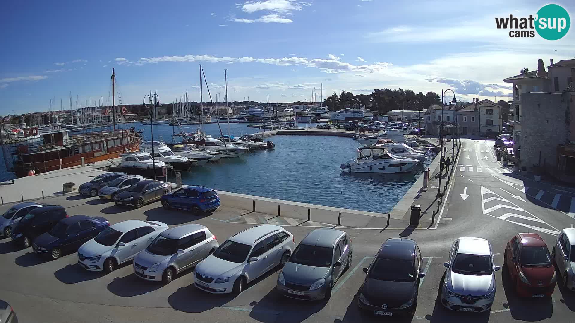 Novigrad | Porporela marina