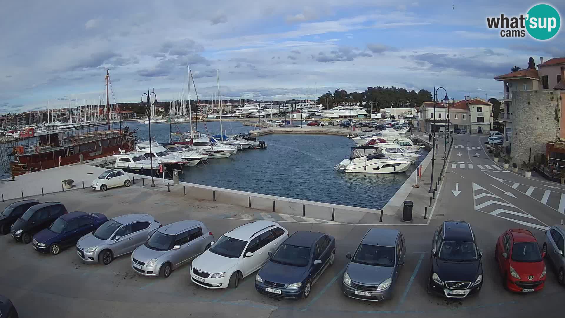 Novigrad | Porporela marina