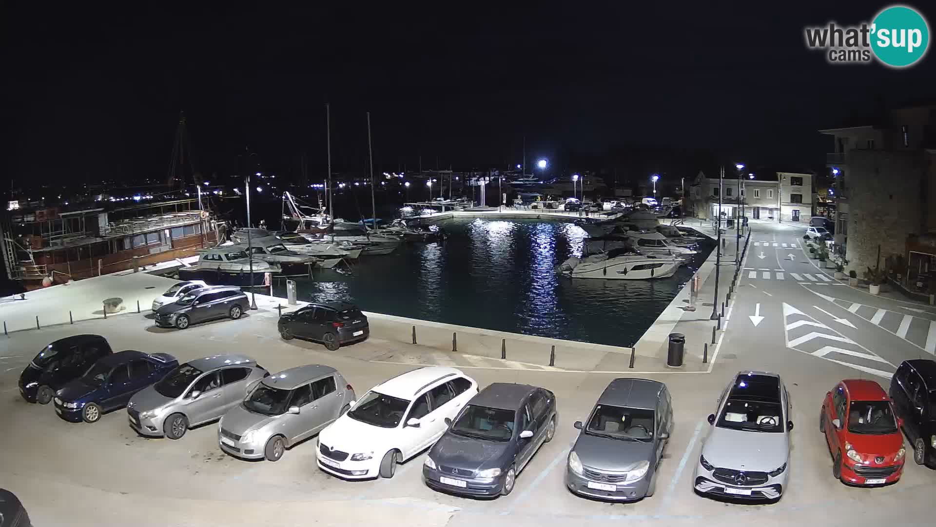 Novigrad | Porporela marina