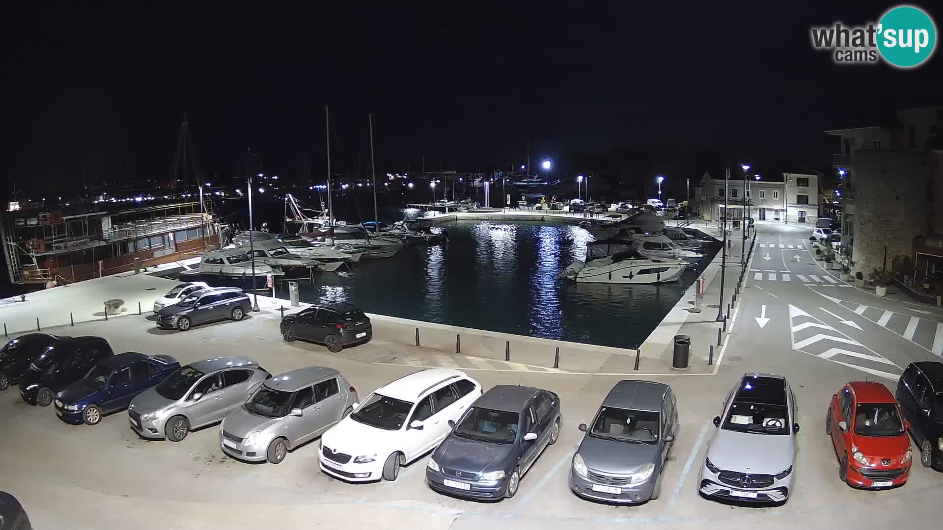 Novigrad | Porporela marina