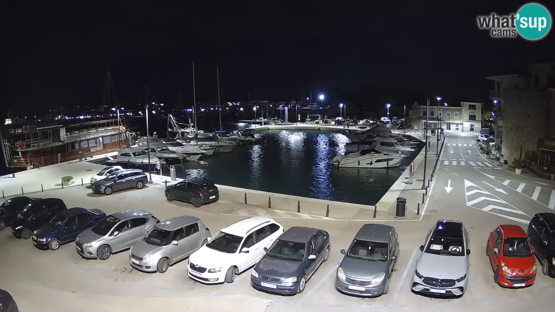 Novigrad | Porporela marina