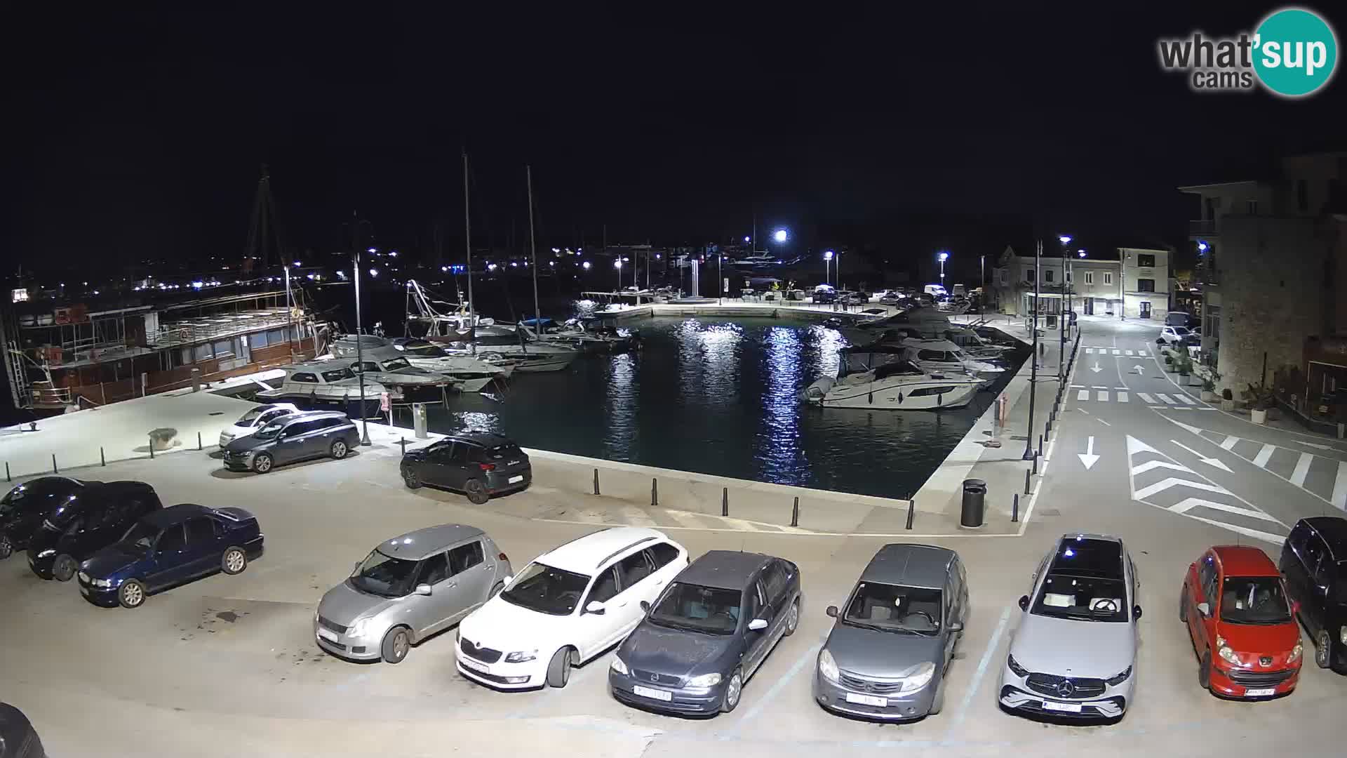 Novigrad | Porporela marina