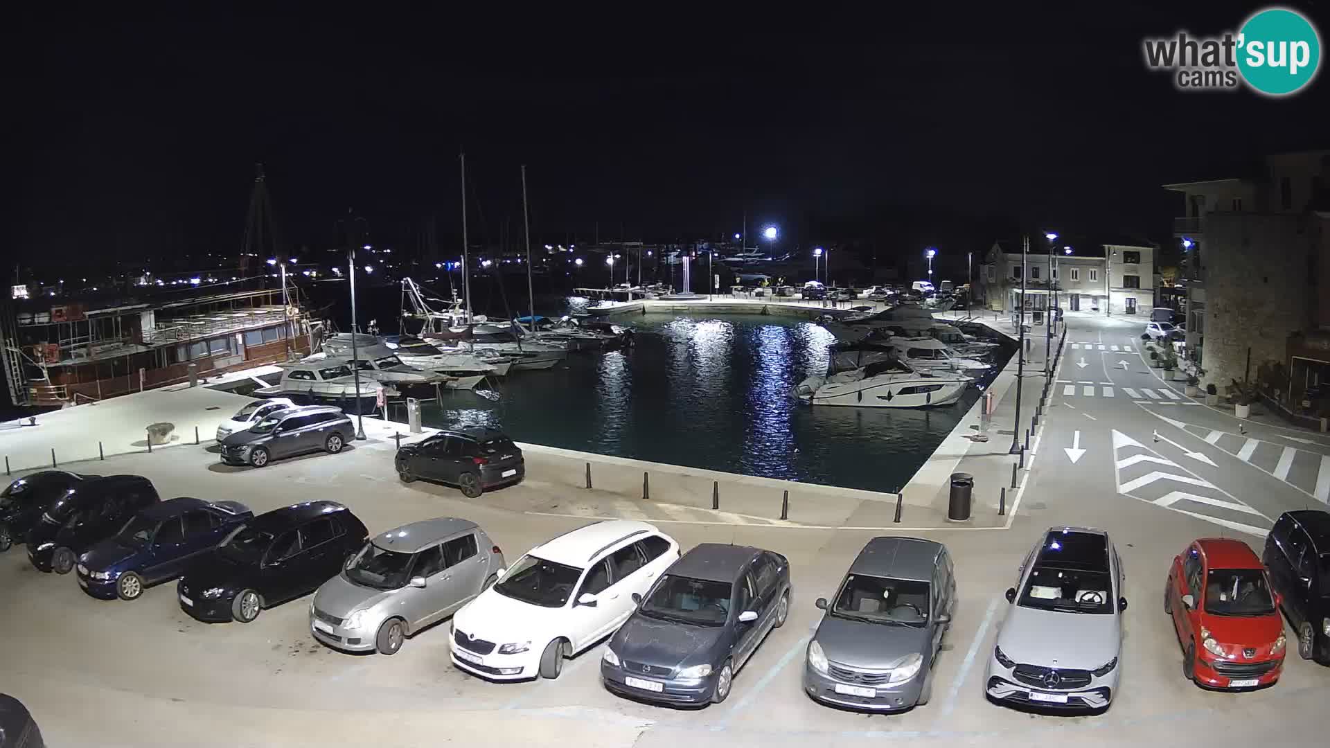 Novigrad | Porporela marina