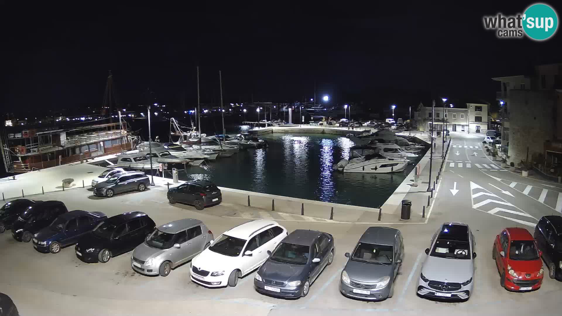 Novigrad | Porporela marina