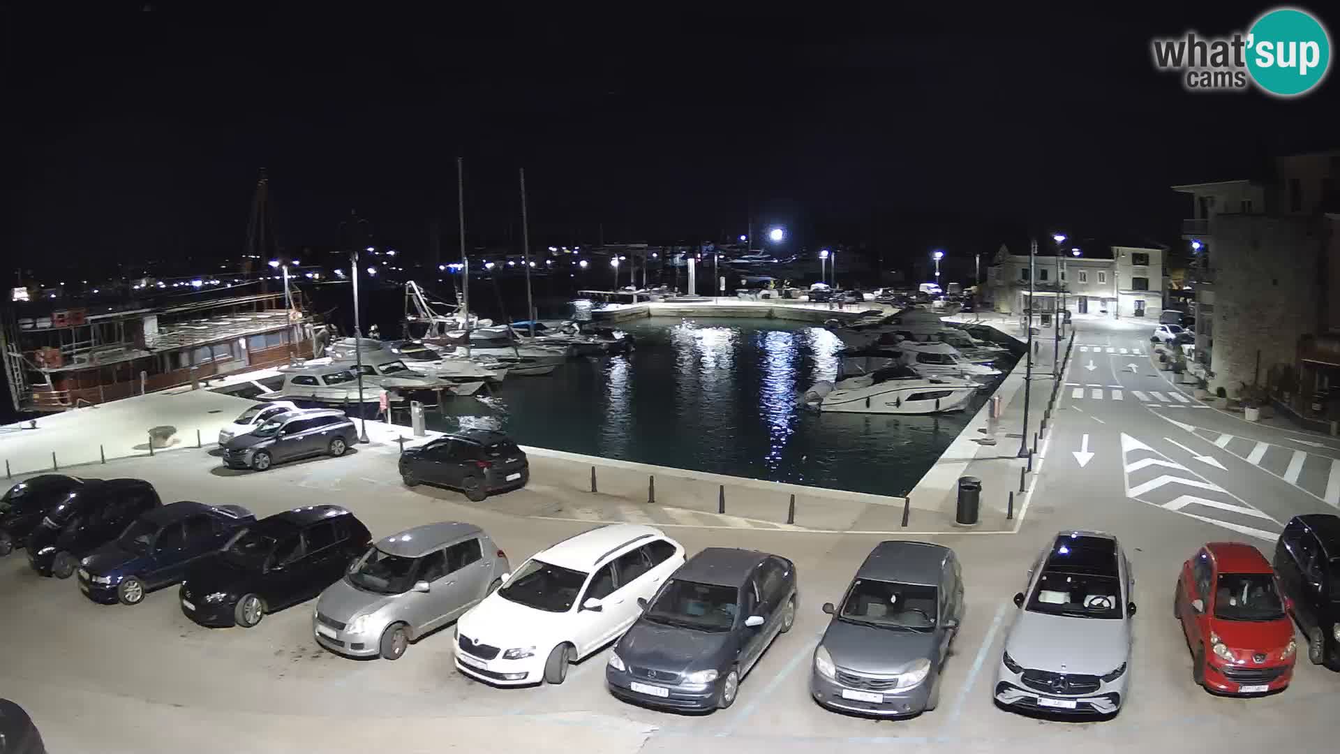 Novigrad | Porporela marina