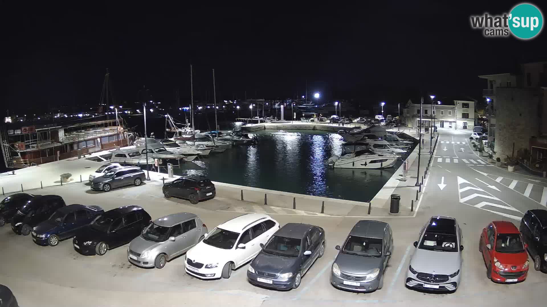 Novigrad | Porporela marina