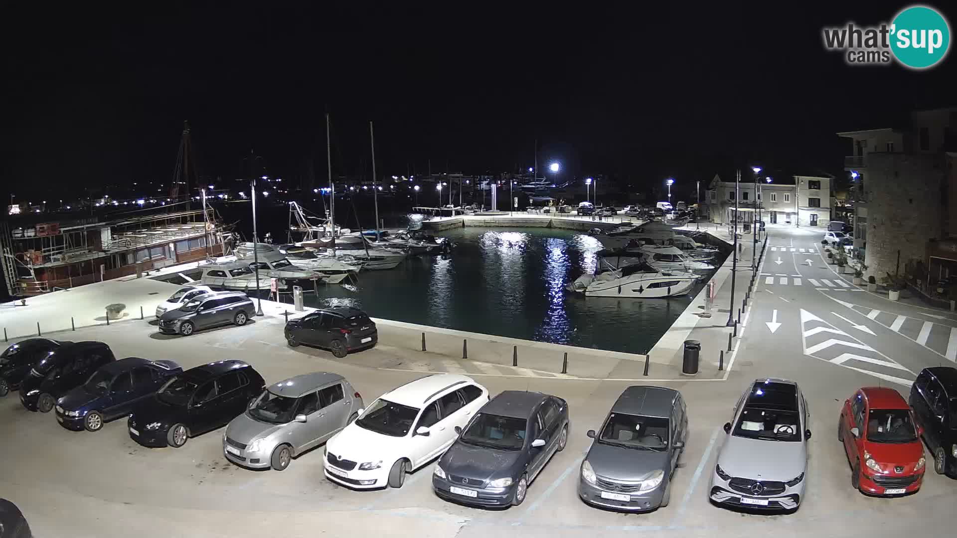 Novigrad | Porporela marina