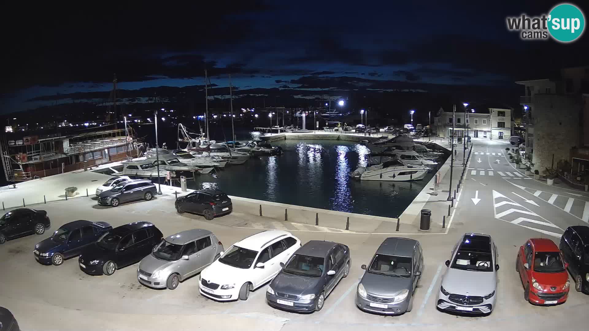 Novigrad | Porporela marina