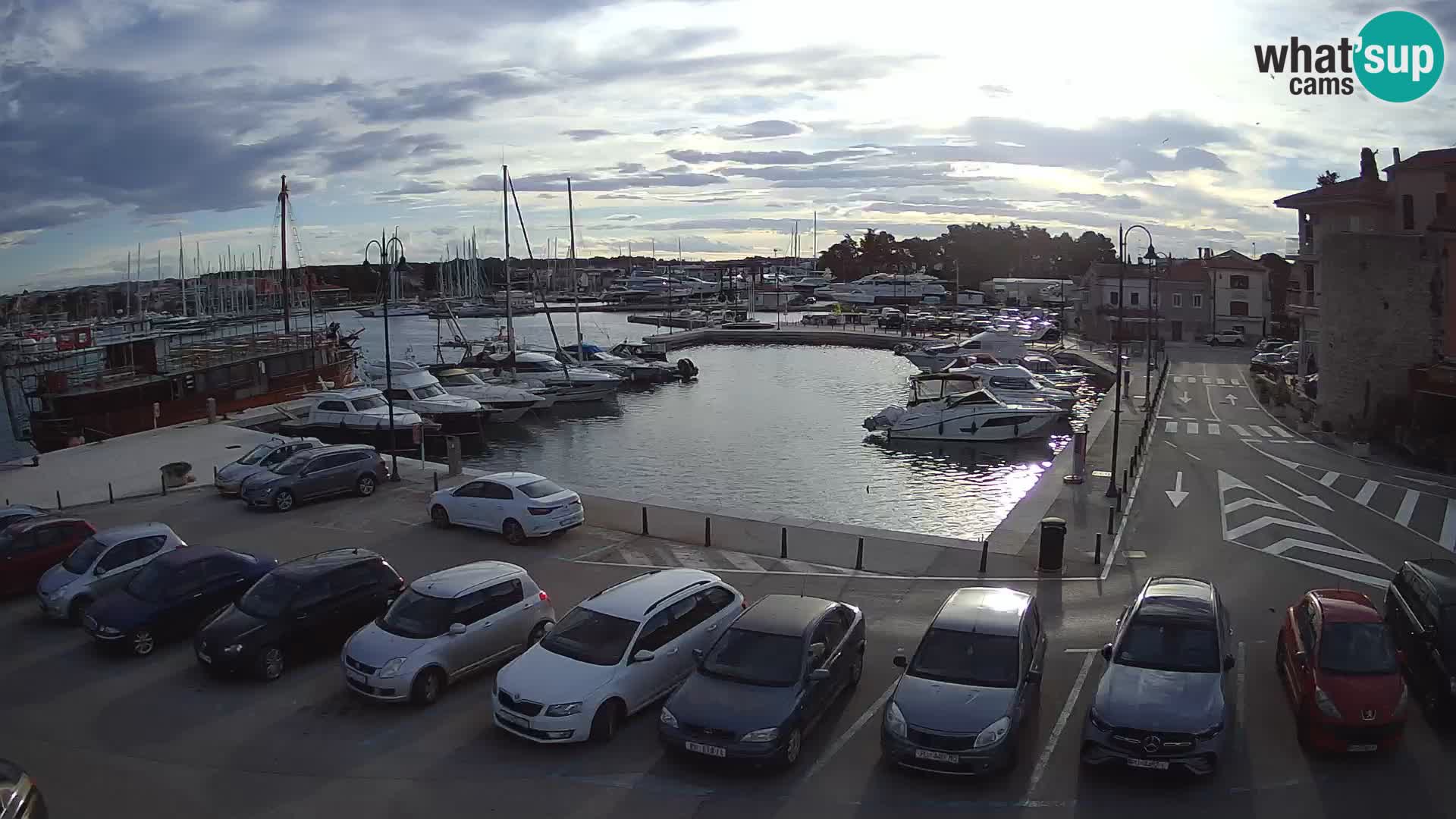 Novigrad | Porporela marina