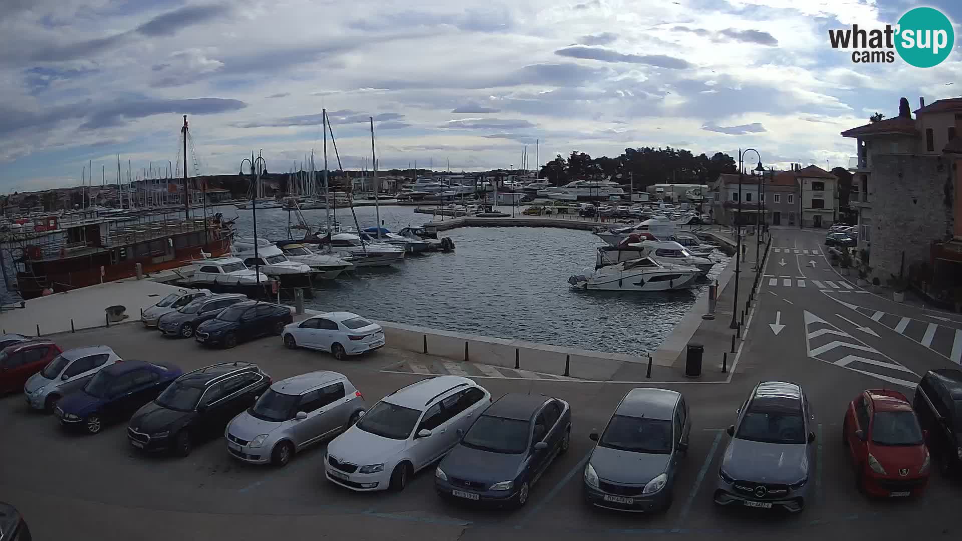 Novigrad | Porporela marina