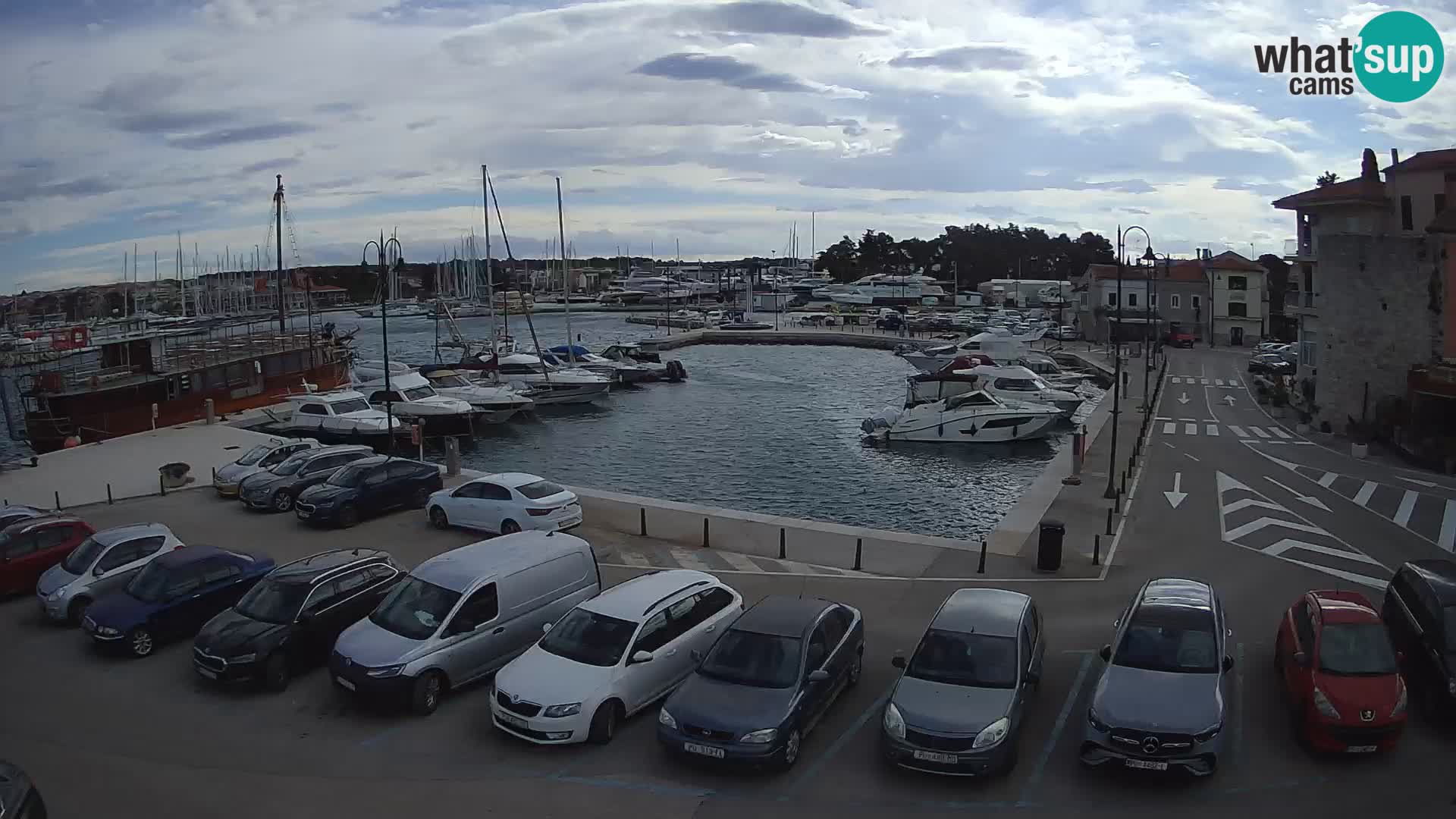 Novigrad | Porporela marina