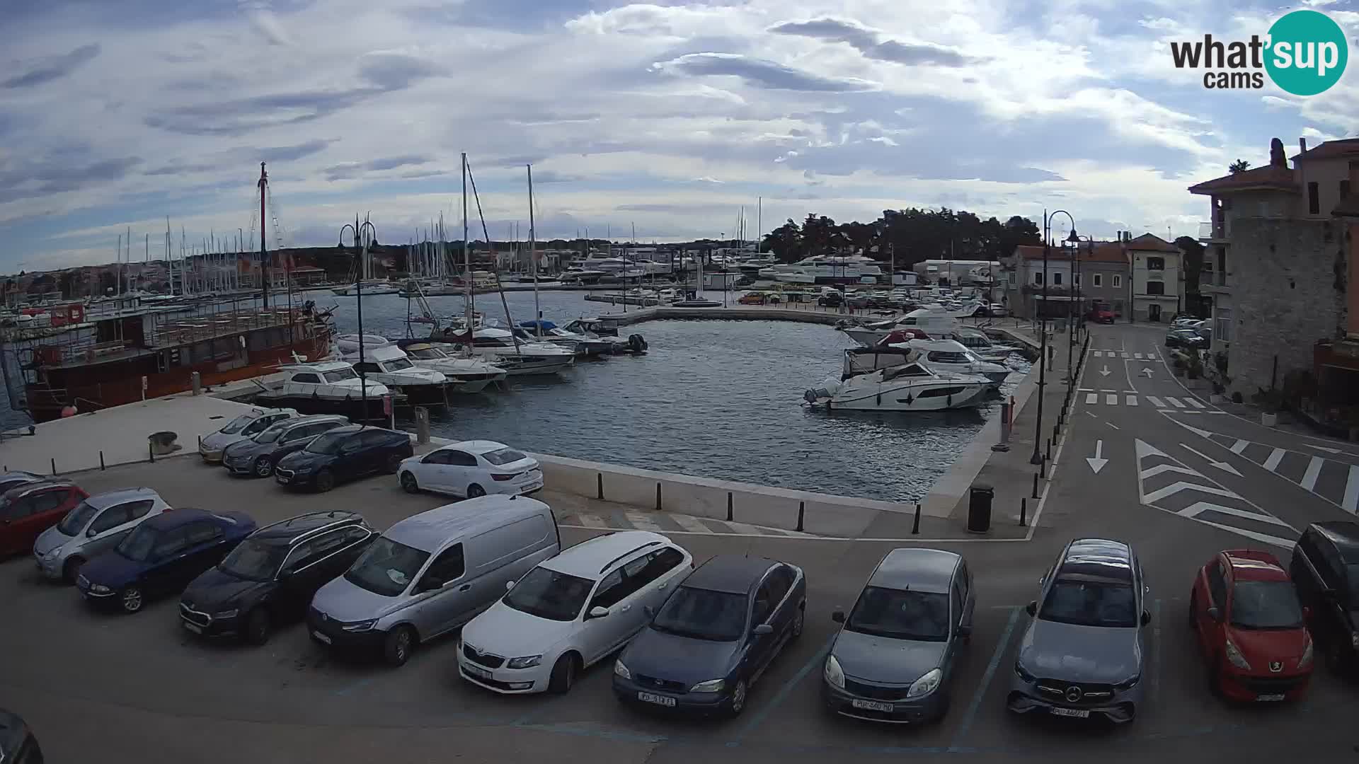 Novigrad | Porporela marina
