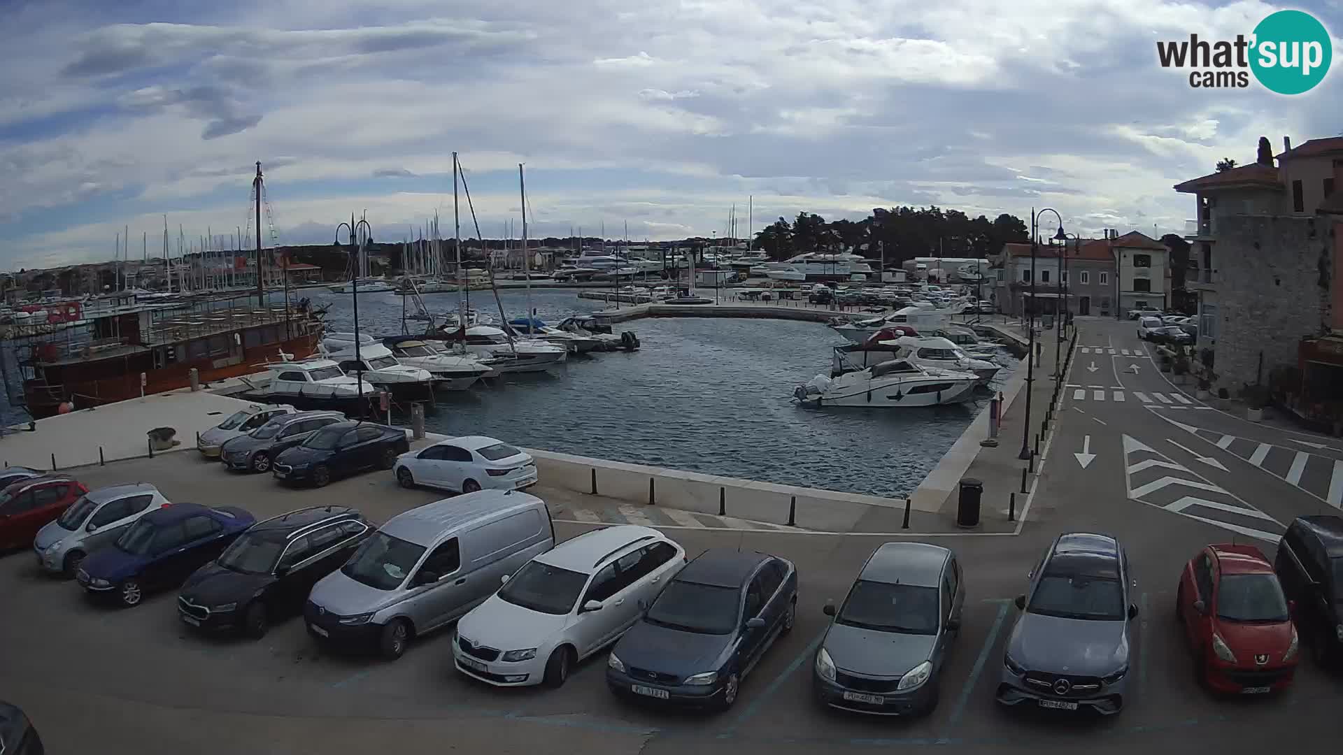 Novigrad | Porporela marina
