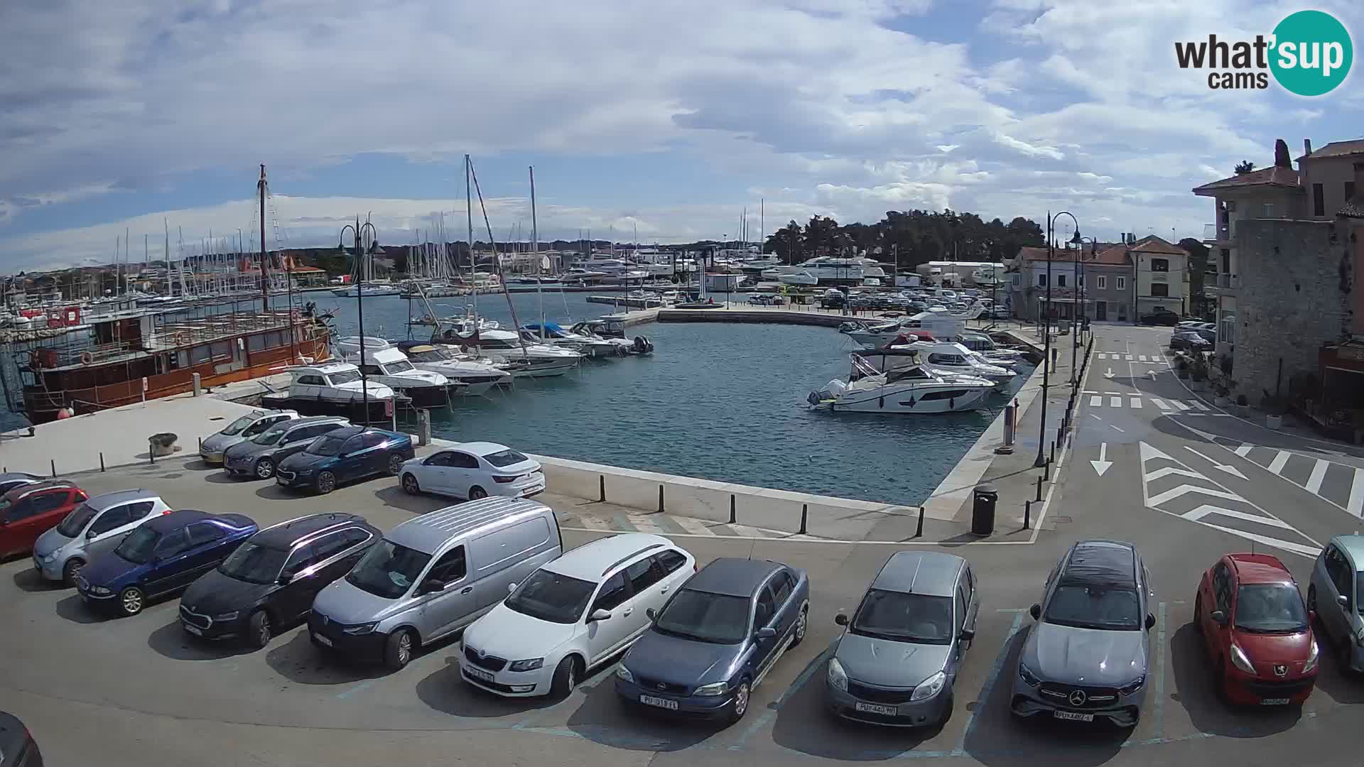 Novigrad | Porporela marina