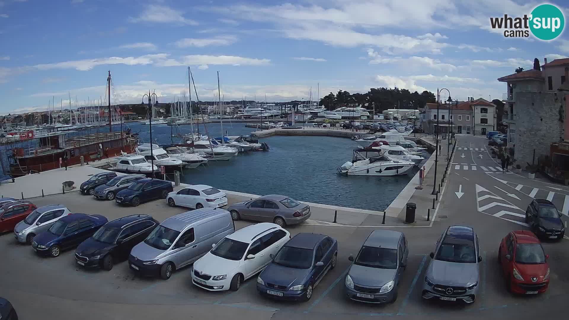 Novigrad | Porporela marina