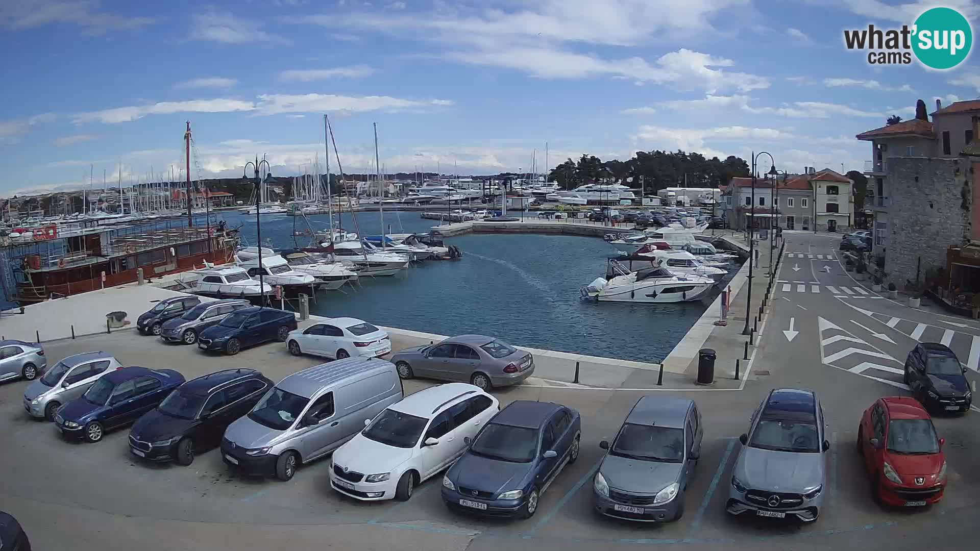 Novigrad | Porporela marina