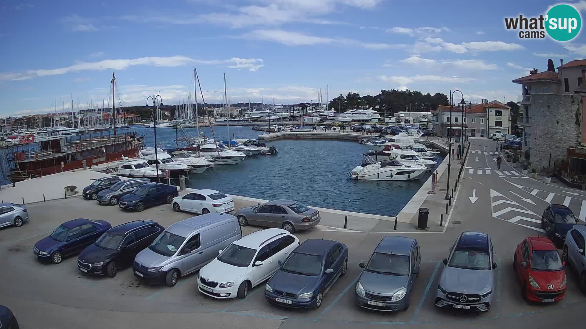 Novigrad | Porporela marina