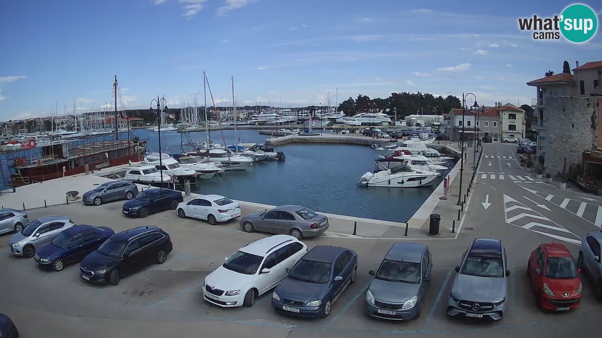 Novigrad | Porporela marina