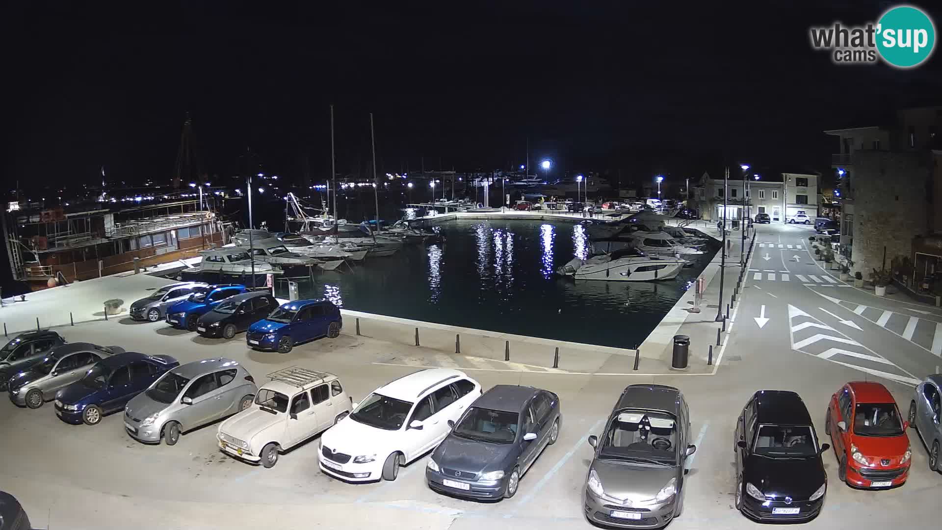 Novigrad | Porporela marina