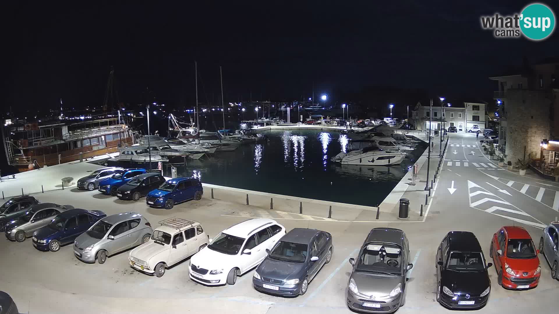 Novigrad | Porporela marina