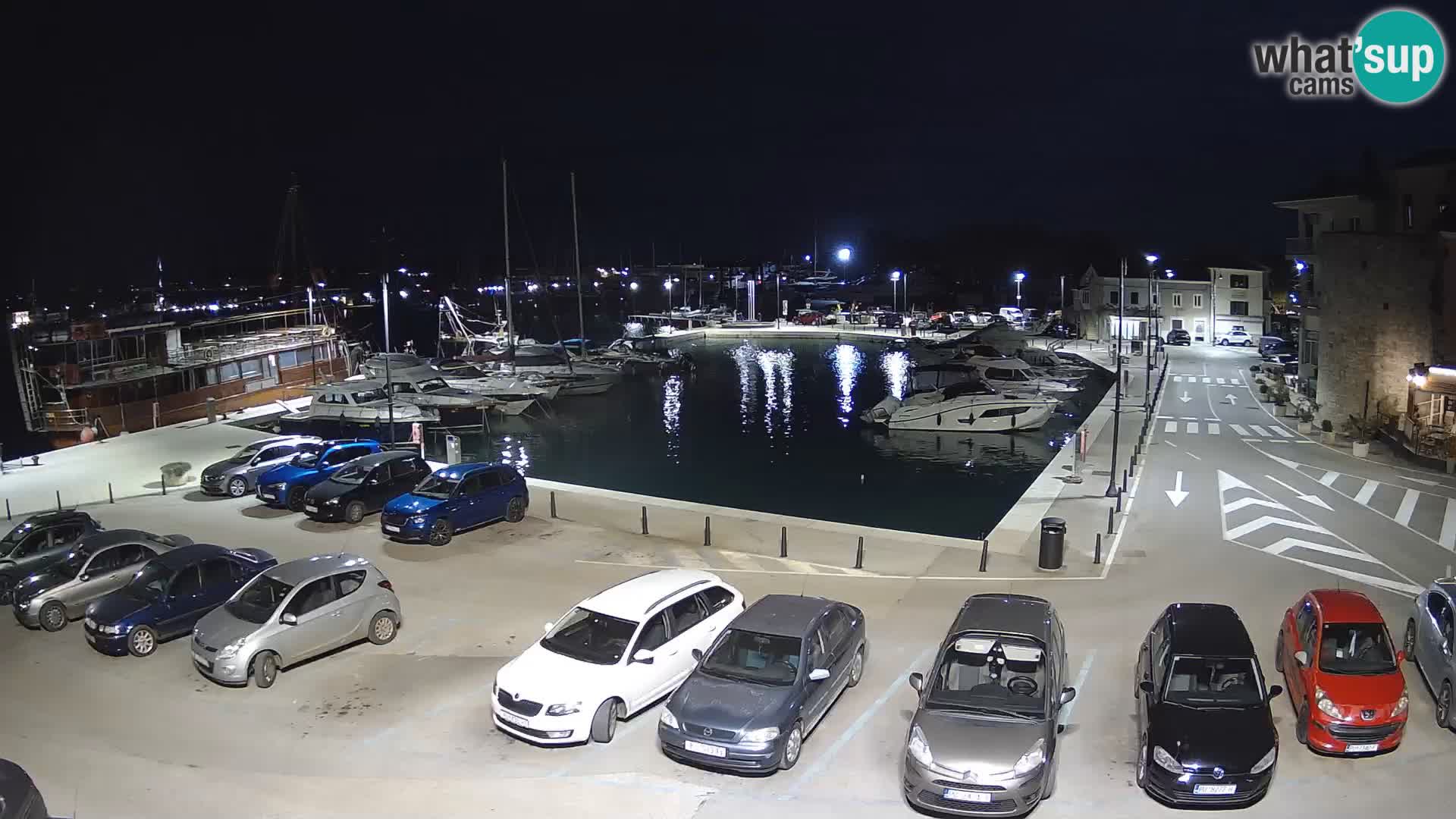 Novigrad | Porporela marina